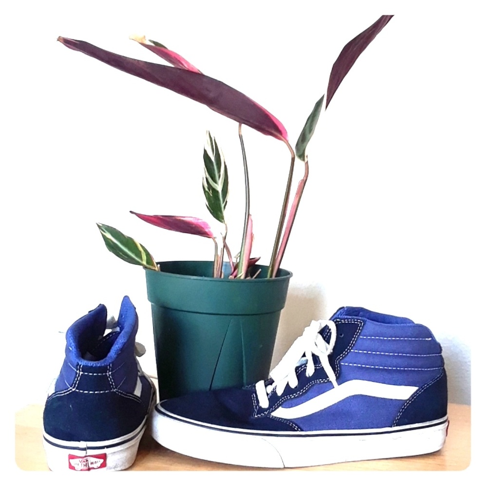 Vans Old Skool SK8-Pro Men's sz 7.5 worn 1×!